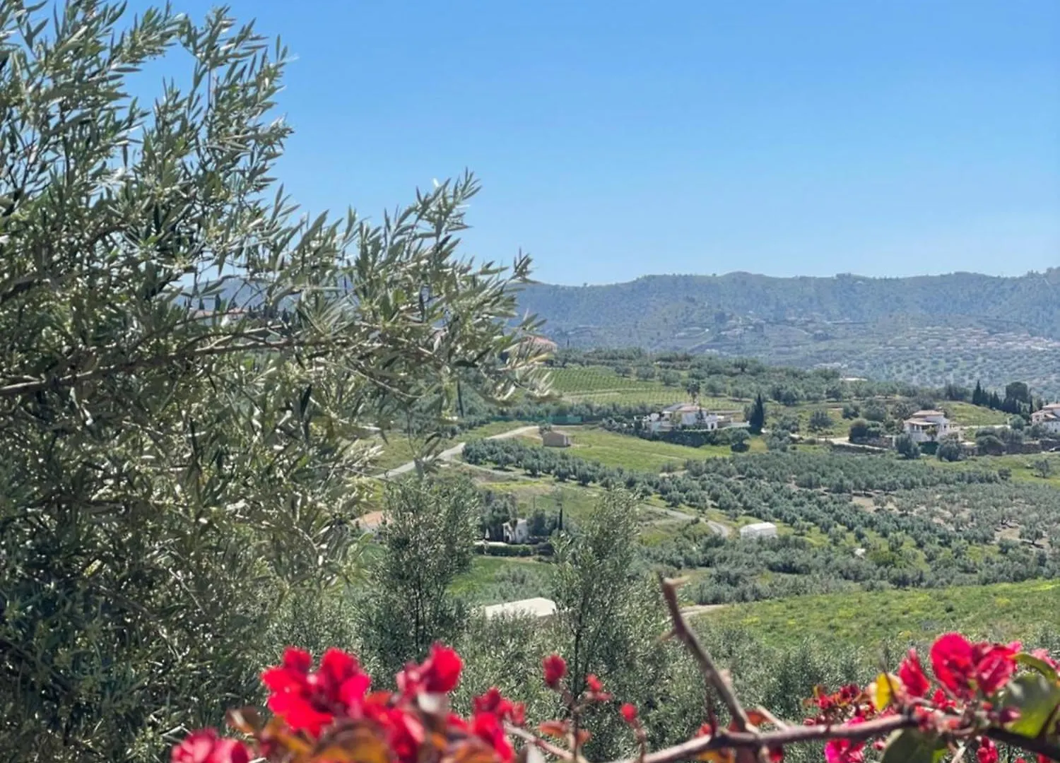 Casa Emiliana Apartment El Cerro Spain